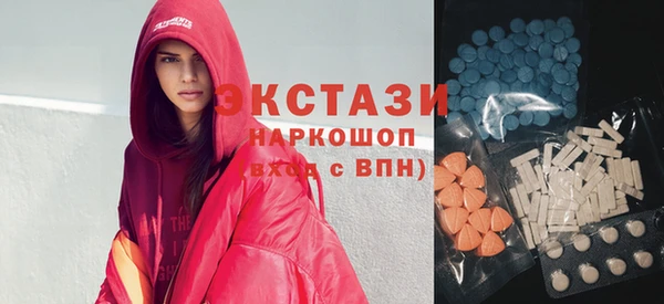 ECSTASY Богородицк